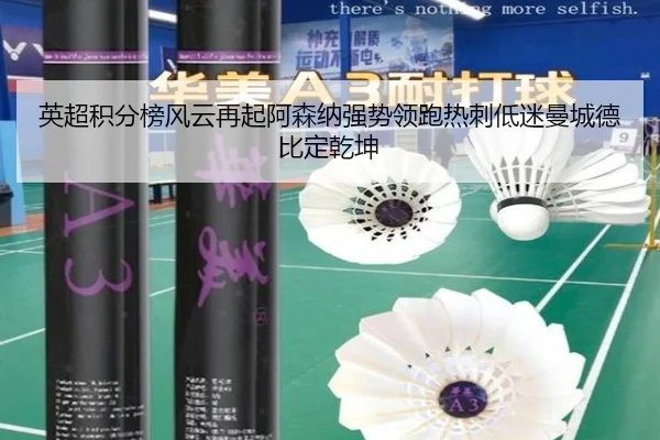 英超积分榜风云再起阿森纳强势领跑热刺低迷曼城德比定乾坤